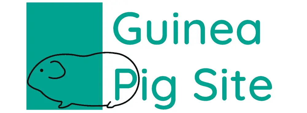 Guinea Pig Site