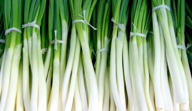 a lot of green onions