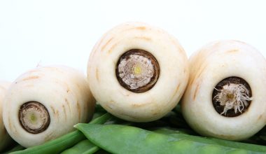 Can Guinea Pigs Eat Parsnips