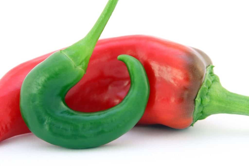 can guinea pigs eat jalapenos