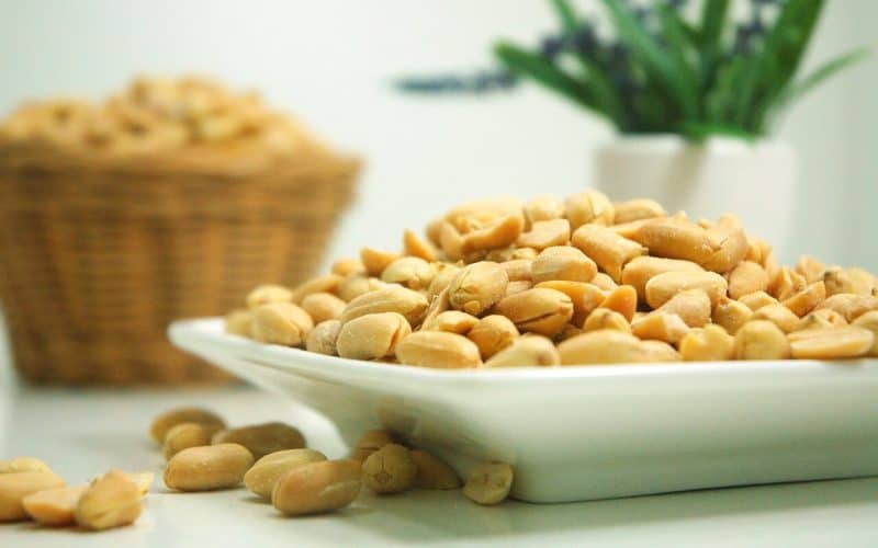 can guinea pigs eat peanuts
