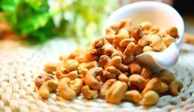 can guinea pigs eat cashews