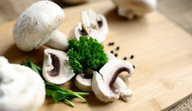 Can Guinea Pigs Eat Mushrooms
