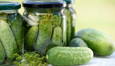 can guinea pigs eat pickles