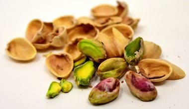 Can Guinea Pigs Eat Pistachios