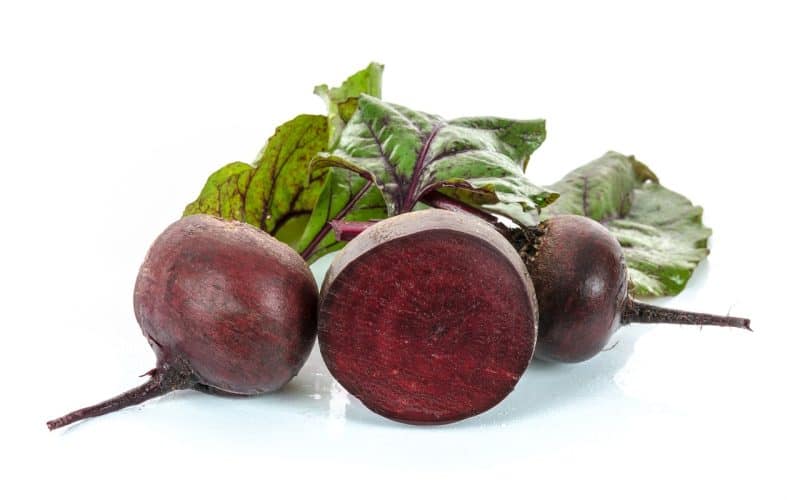 Can Guinea Pigs Eat Beets