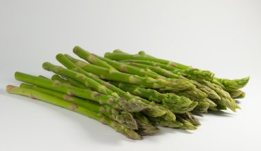 can guinea pigs eat asparagus