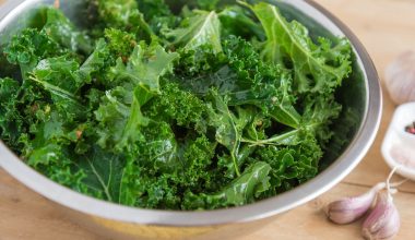 can guinea pigs eat kale