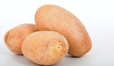 Can Guinea Pigs Eat Potatoes